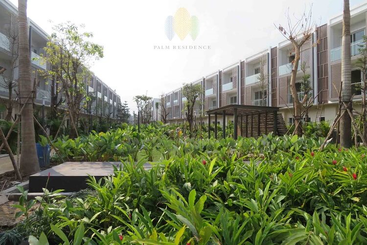 nha pho palm residence tien do